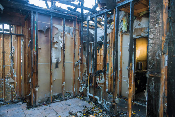 Professional Fire Damage Repair technician working in Morenci, MI